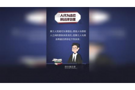 丹寨为什么选择专业追讨公司来处理您的债务纠纷？